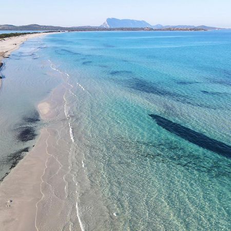 Iss Travel, Pedra Rosa 2 Bedroom Apartments With Private Terrace And Air Conditioning San Teodoro  Eksteriør billede